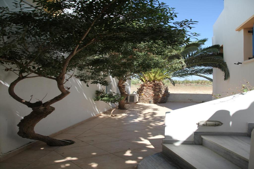 Polemis Studios & Apartments Agia Anna  Kamer foto